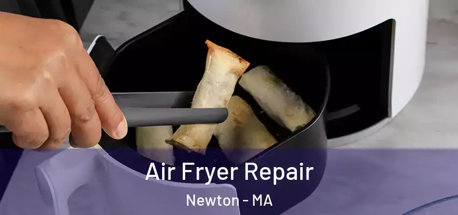  Air Fryer Repair Newton - MA