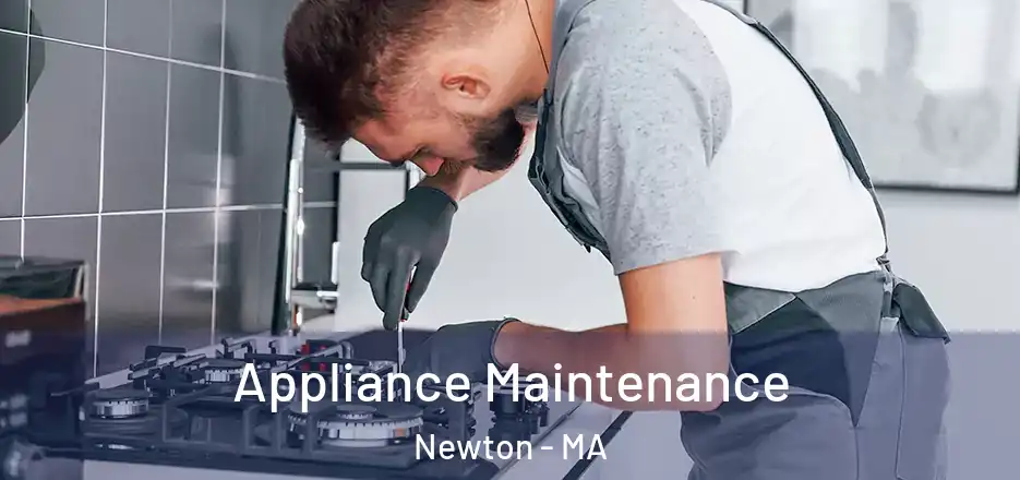  Appliance Maintenance Newton - MA