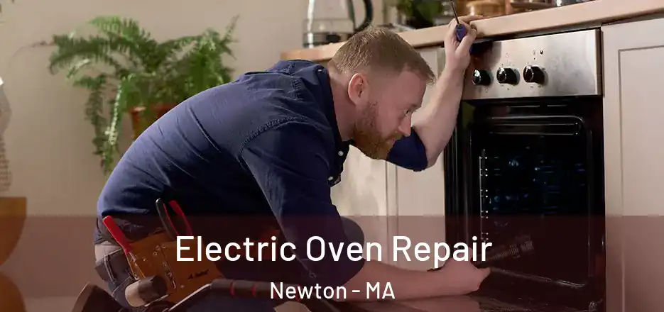 Electric Oven Repair Newton - MA