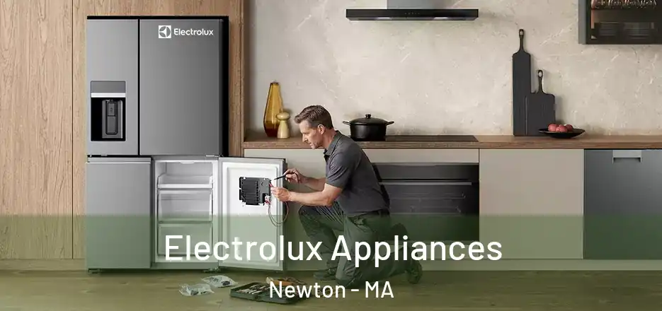  Electrolux Appliances Newton - MA