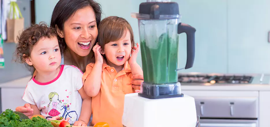 Juicer and Mixer Blender Repair in Newton 
