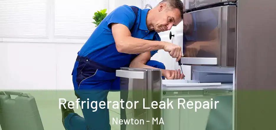 Refrigerator Leak Repair Newton - MA