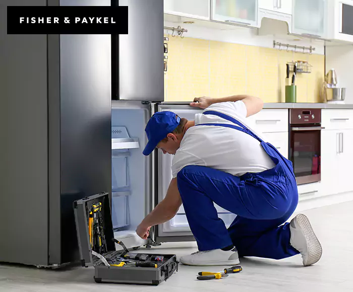 Top-Rated Fisher & Paykel Appliance Experts: Your Brand Specialist in Newton, MA