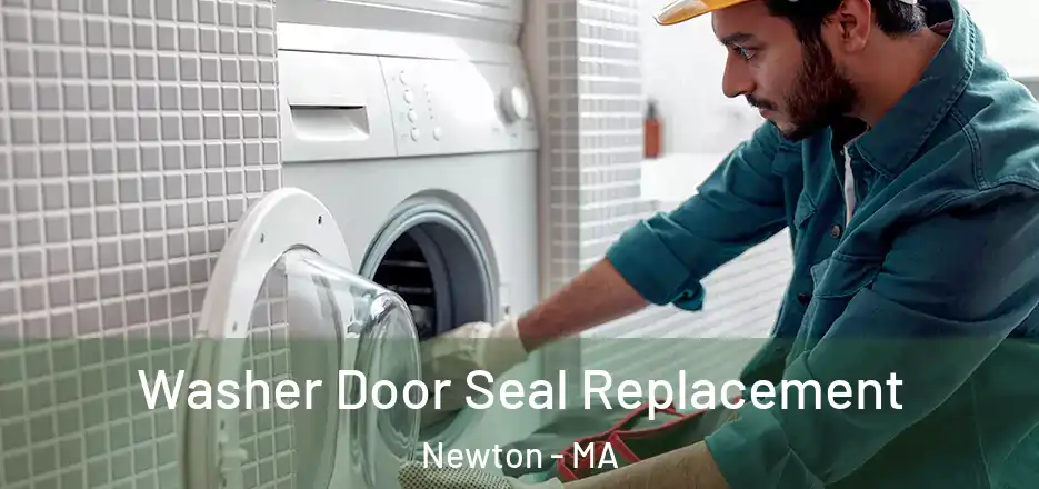  Washer Door Seal Replacement Newton - MA