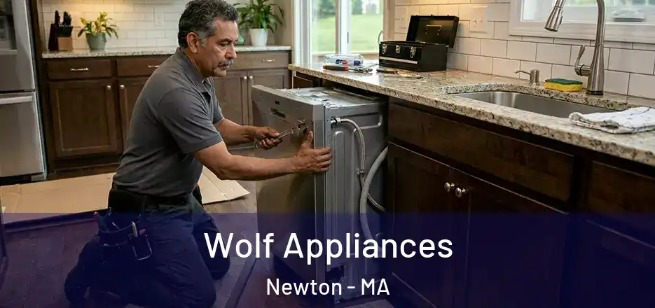  Wolf Appliances Newton - MA